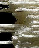 bamboo fibre detail