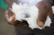 Faw Cotton. Photo credit P Hahn for AbTF