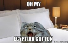 OH-MY-EGYPTIAN
