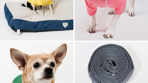 American Apparel Dog Hoodies