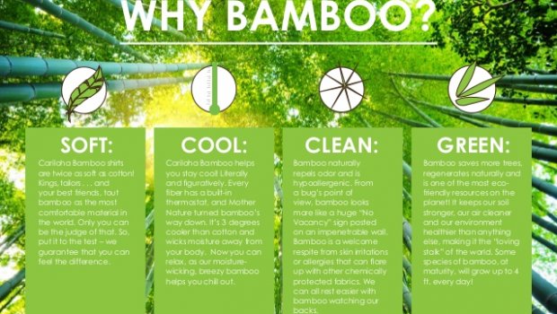 Bamboo Clothing Benefits