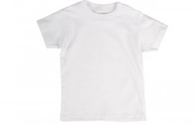American Apparel Blank T-Shirts