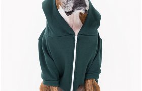 American Apparel dog Clothing