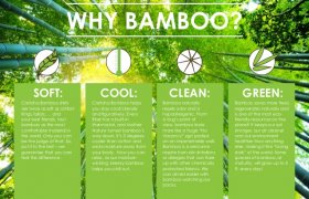 Bamboo Clothing Benefits