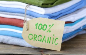 Organic cotton Clothing
